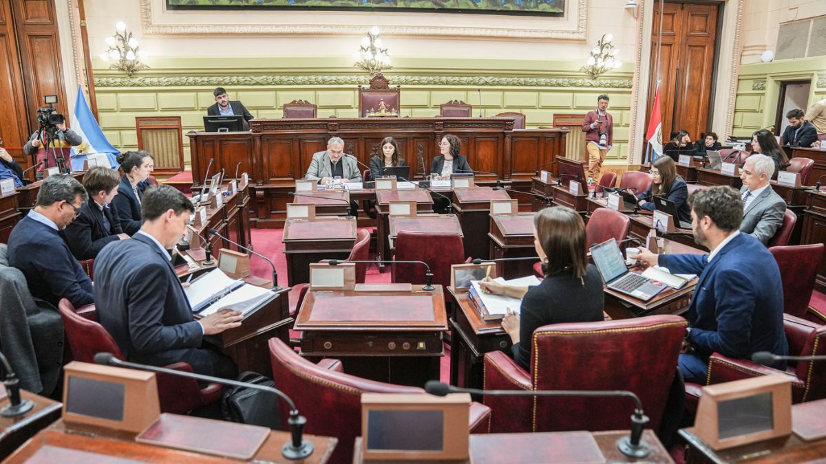 La actividad de la Comisión de Funcionamiento del Estado y Participación Ciudadana continuará este lunes con un tema clave en la agenda: la incorporación en la reforma constitucional del concepto de “seguridad pública” como un derecho fundamental. 
