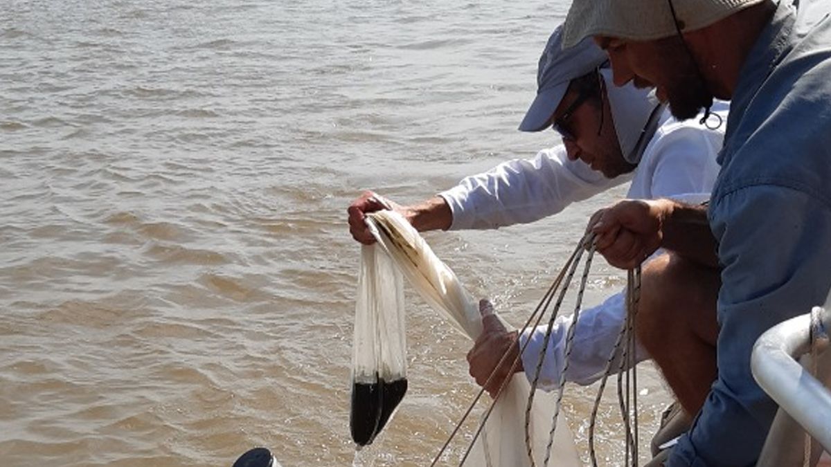 En 2017 se registró un promedio de 1