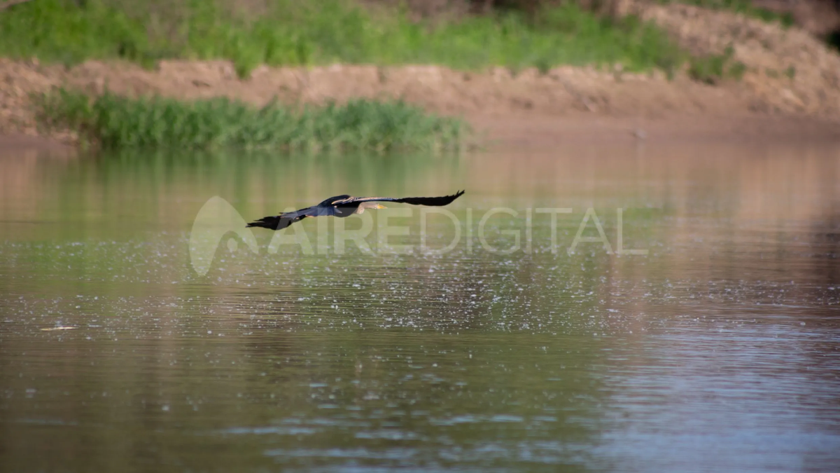 Parque Nacional Islas de Santa Fe
