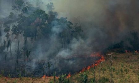 La deforestación potencia el cambio climático y se repiten eventos extremos como inundaciones, sequías, incendios y más emisiones de carbono. La deforestación potencia el cambio climático y se repiten eventos extremos como inundaciones, sequías, incendios y más emisiones de carbono.