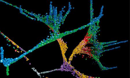 cientificos definieron cual es el ser vivo mas importante del planeta cientificos definieron cual es el ser vivo mas importante del planeta