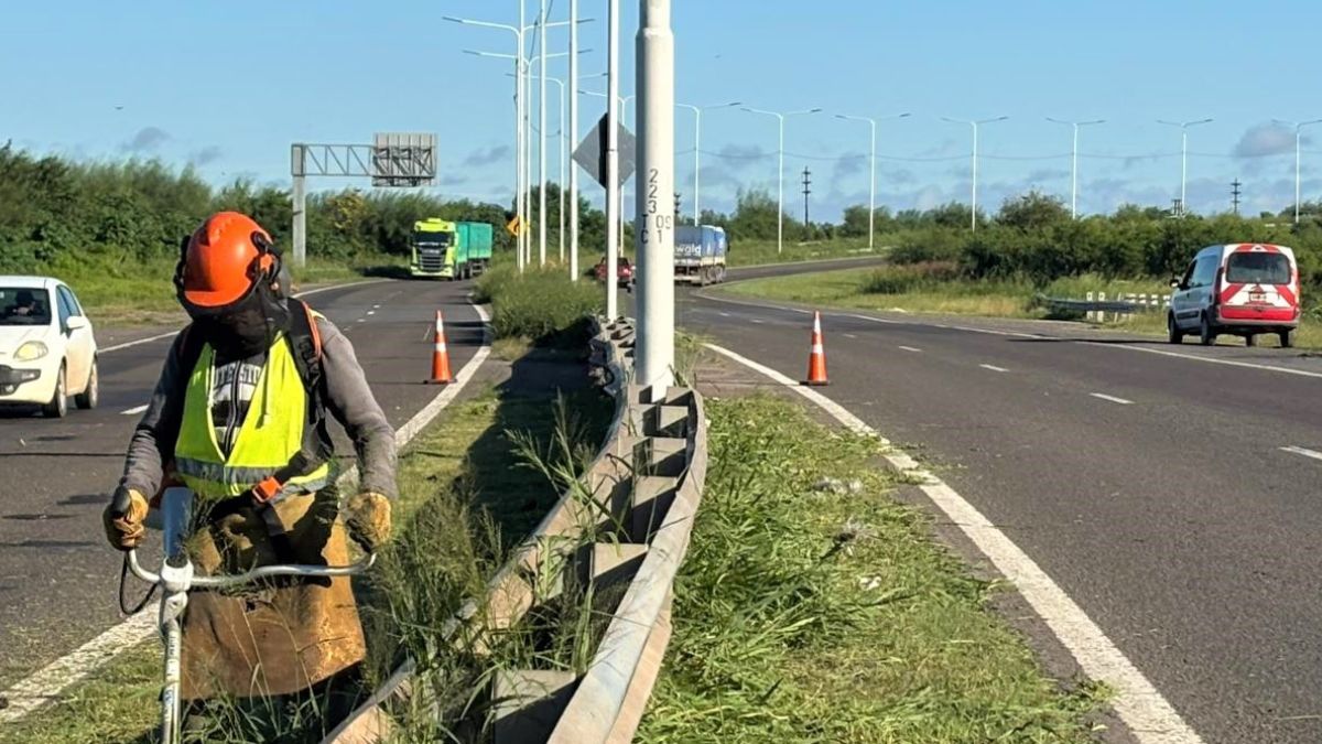Personal de Vialidad Nacional realiza el corte de pasto manual en la Circunvalaci&oacute;n Oeste.