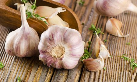 El ritual del ajo macho es un complejo proceso que ha sido cuidadosamente perfeccionado a lo largo de los siglos. El ritual del ajo macho es un complejo proceso que ha sido cuidadosamente perfeccionado a lo largo de los siglos.
