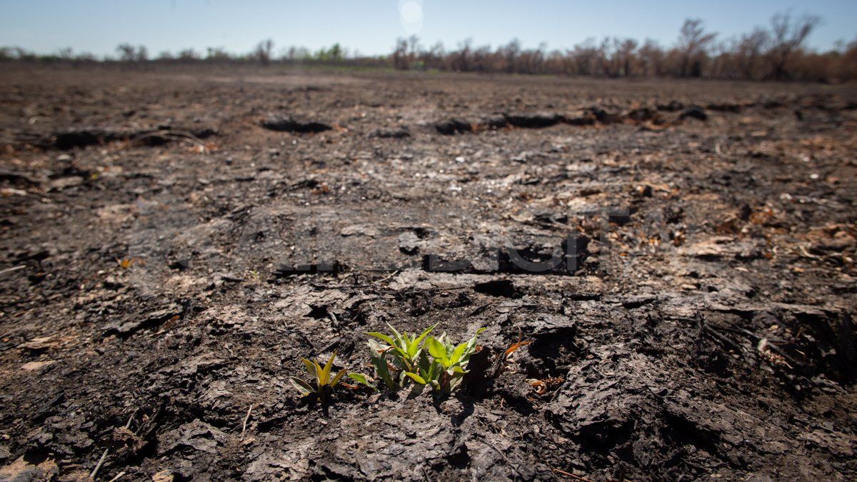 La Corte condenó al Estado Nacional y a las provincias de Buenos Aires