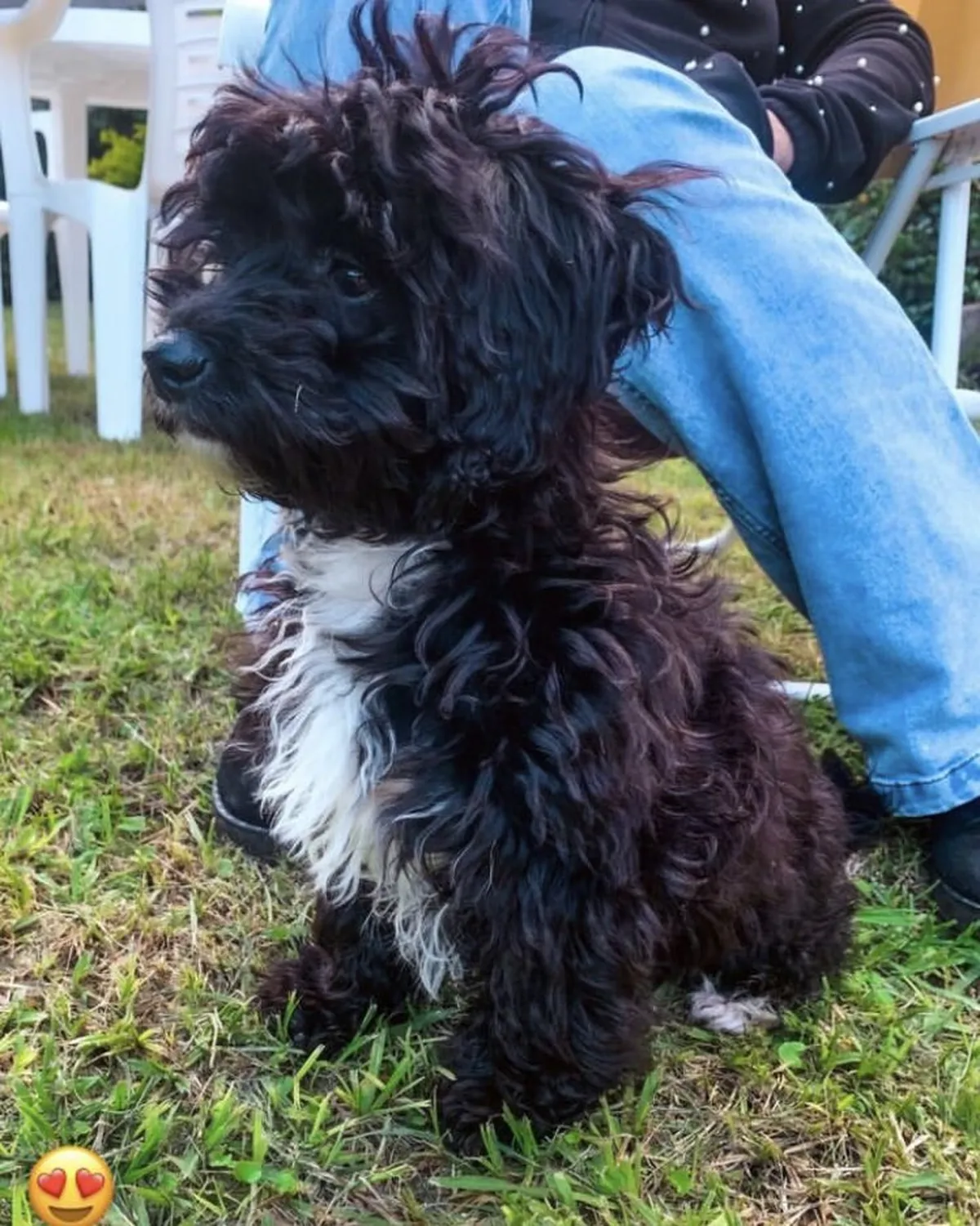 Morita, de Gran Hermano, fue adoptada por Marcos Ginocchio.