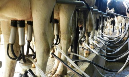 tamberos santafesinos desmienten la sobreoferta de leche y apuntan a la industria tamberos santafesinos desmienten la sobreoferta de leche y apuntan a la industria