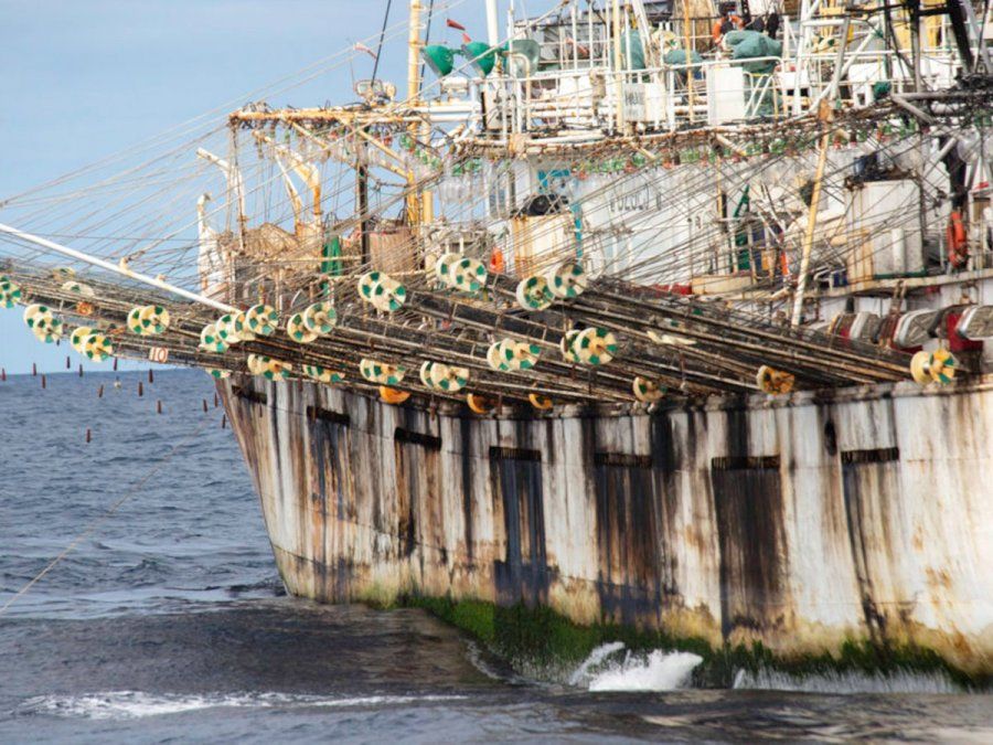 Alerta por un convoy de 300 y 500 buques chinos que se dirigen al Mar Argentino