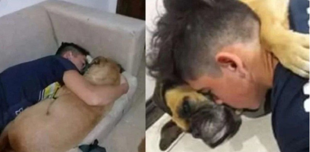 Un perro murió en los brazos de su dueño por los fuegos artificiales