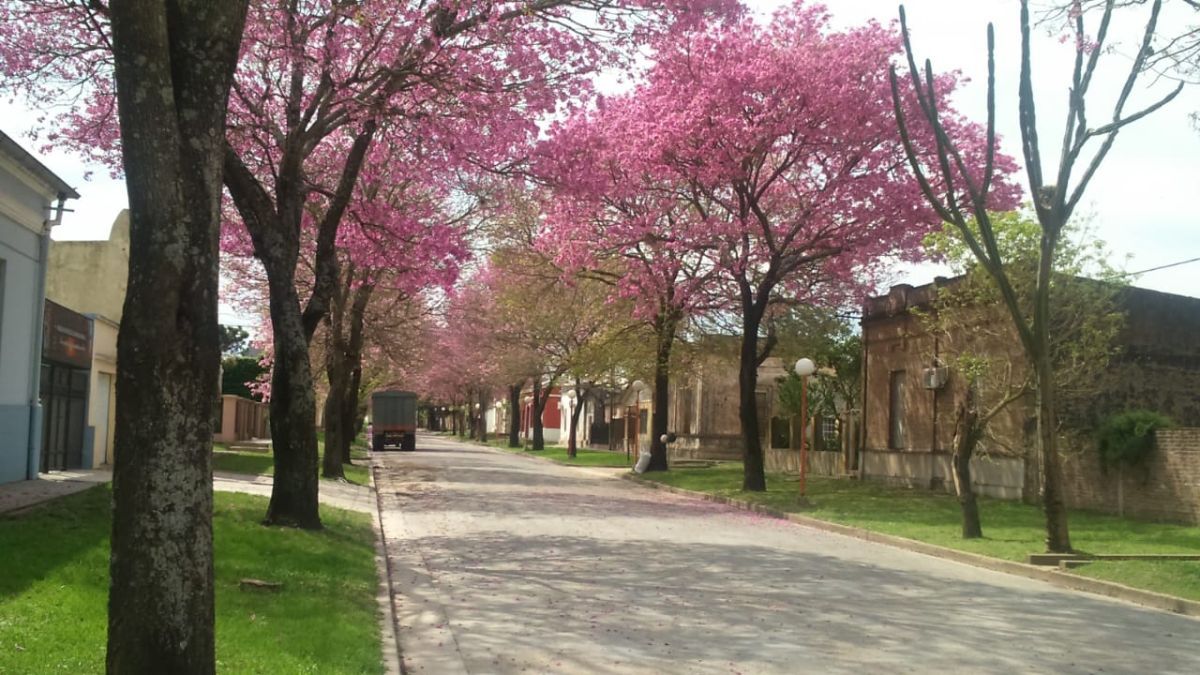 Aldea Protestante es el lugar ideal para aquellos que buscan descubrir nuevos rincones.
