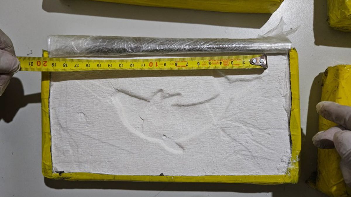 Los bloques con cocaína llevaban un logo de un delfín. Los bloques con cocaína llevaban un logo de un delfín.