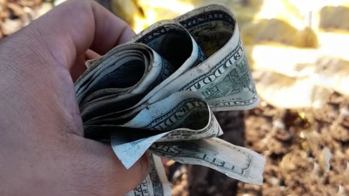 Empleados municipales de Las Parejas hallaron dos bolsas con varios miles de dólares, en el interior de un ropero que estaba en un basural.