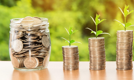 que planta debes poner debajo de la cama para atraer el dinero que planta debes poner debajo de la cama para atraer el dinero
