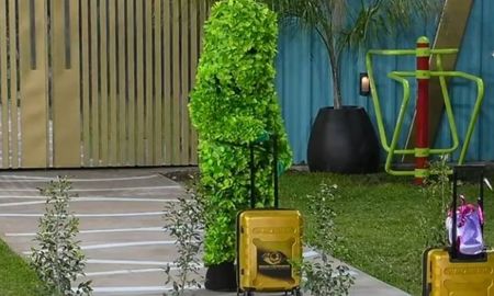 El hombre arbusto entró a la casa de Gran Hermano 2026 para llevarse a los participantes plantas. El hombre arbusto entró a la casa de Gran Hermano 2026 para llevarse a los participantes plantas.