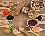 Semillas para incorporar proteína vegetal de manera aludable. Semillas para incorporar proteína vegetal de manera aludable.