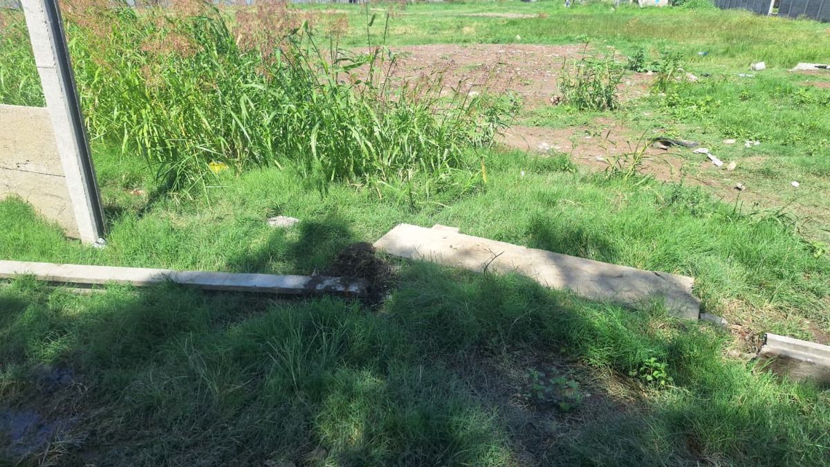 Ataque en “La Casita”: destrozaron el tapial del club en plena obra y denuncian amenazas