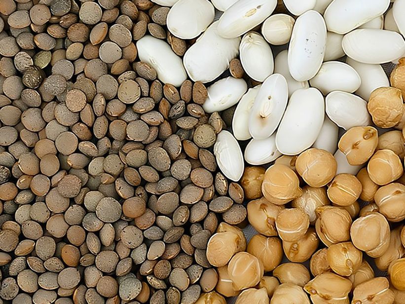 La calidad ya no alcanza para diferenciarse: ahora define si las legumbres argentinas siguen en los mercados La calidad ya no alcanza para diferenciarse: ahora define si las legumbres argentinas siguen en los mercados