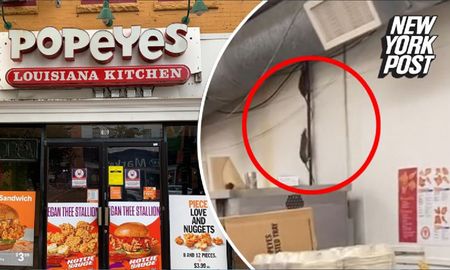 Viral: Una repugnante invasión de ratas en un conocido local de comida rápida Viral: Una repugnante invasión de ratas en un conocido local de comida rápida