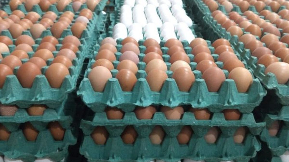 En 2019 hubo que poner mucho más huevo: Hubo récord de producción y el consumo de ese alimento creció 5%