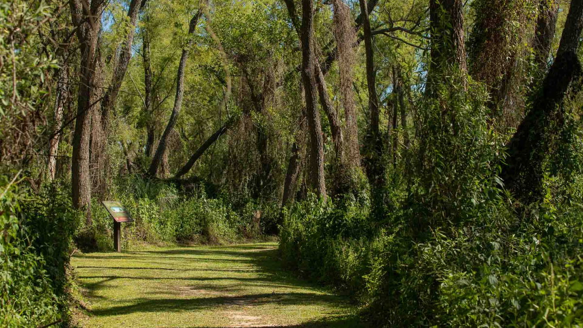 Escapada a un oculto y maravilloso parque en Entre Ríos, ideal para recorrer y descubrir en familia