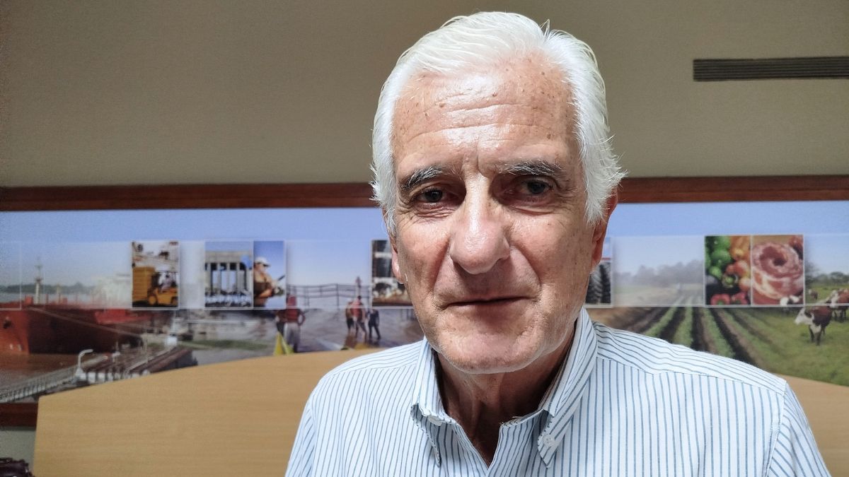 Para Argenti, “la reelección ilimitada de los senadores” debería ser tratada en al convención.