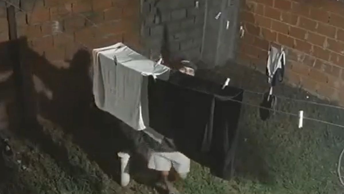 Le robaron los toallones colgados del patio de su casa: el video del insólito momento