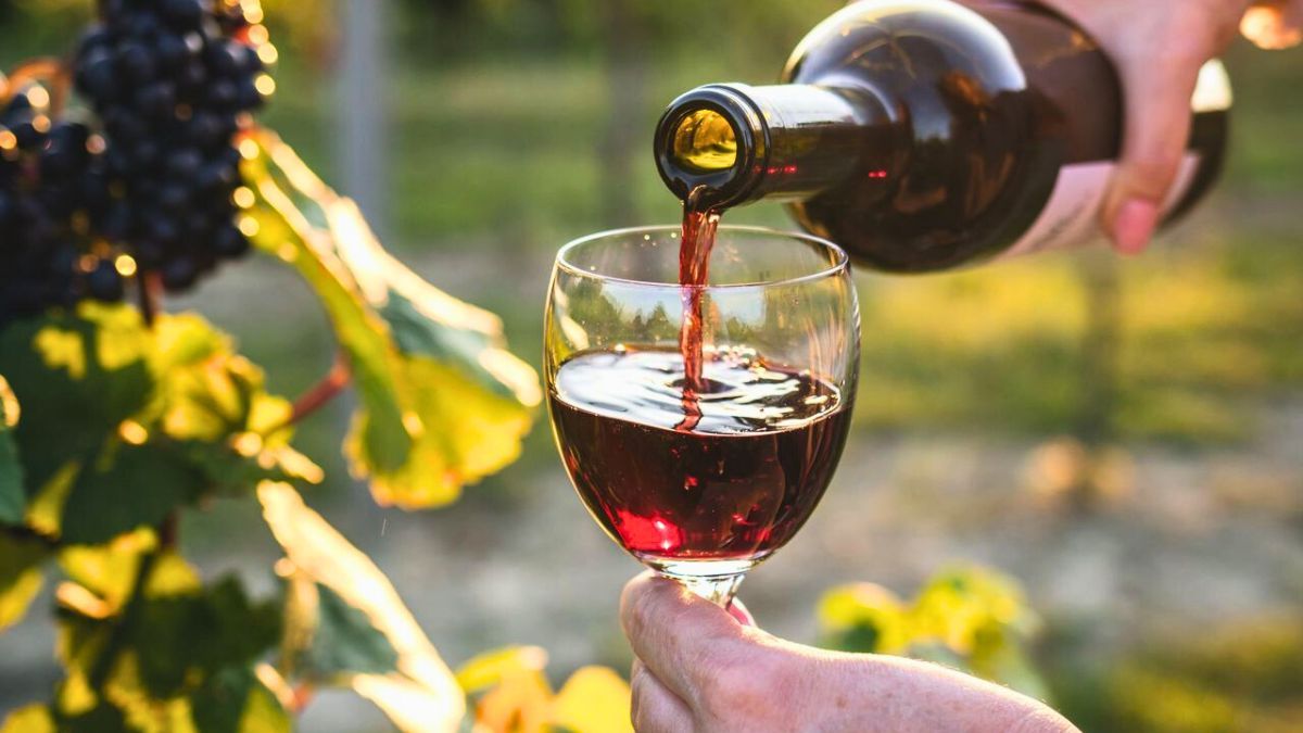 Coonocé cuál es el vino con más calorías. Coonocé cuál es el vino con más calorías.