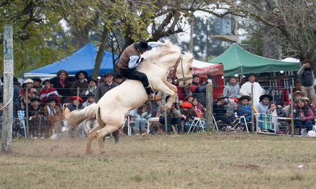 Aire de Santa Fe | DESTACADA 49 fiesta provincial de la doma - Cayasta 2025_DSC02617_MTH.jpg