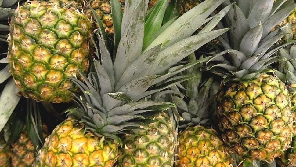 “Pineapple Challenge”: el desafío viral para comer ananá como un campeón