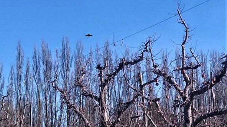 Un ovni causó pánico en una chacra de Río Negro