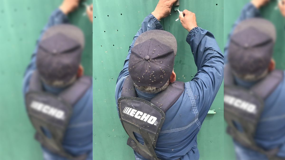 En los últimos días los santafesinos sufren el asedio de los mosquitos. Sin importar el lugar, estos se hacen presentes. No hay tela metálica que se resista, ni repelente que alcance para evitar que estos animales se posen sobre la piel.