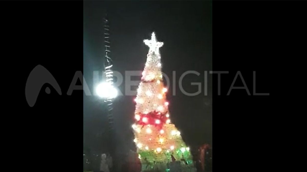 Captura del video del arbolito en plena tormenta
