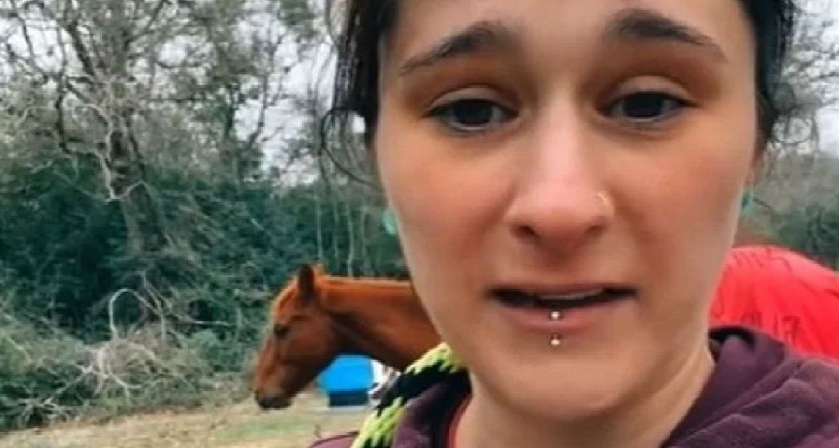 Abrigó a su caballo