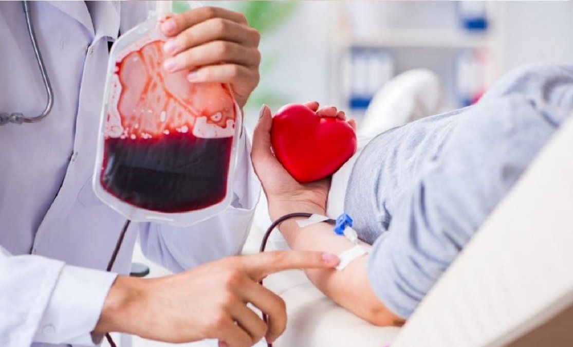 5 alimentos ricos en hierro para combatir la anemia