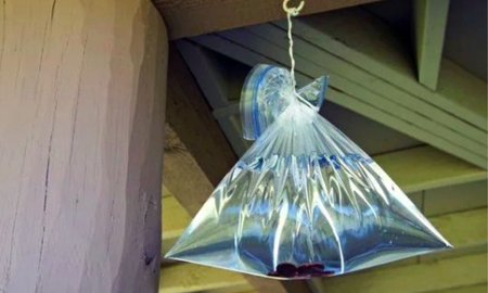 Explora el misterio de las bolsas con agua en Perú: ¿funcionan realmente? Explora el misterio de las bolsas con agua en Perú: ¿funcionan realmente?