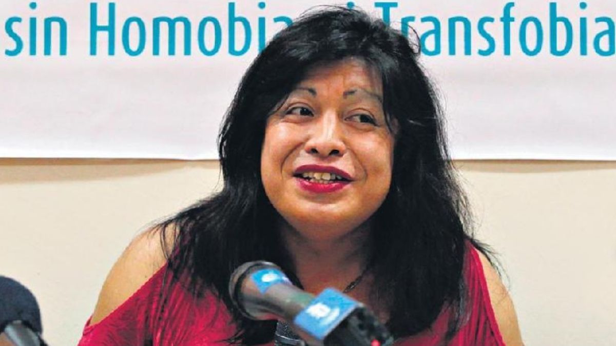 Amancay Diana Sacayán nació el 31 de diciembre de 1975 en la provincia de Tucumán.