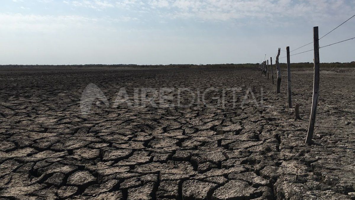 Casi el 40% de los suelos argentinos enfrenta problemas de degradaci&oacute;n por la p&eacute;rdida de masa boscosa y tambi&eacute;n por la erosi&oacute;n h&iacute;drica y e&oacute;lica. Tambi&eacute;n influye la agricultura.