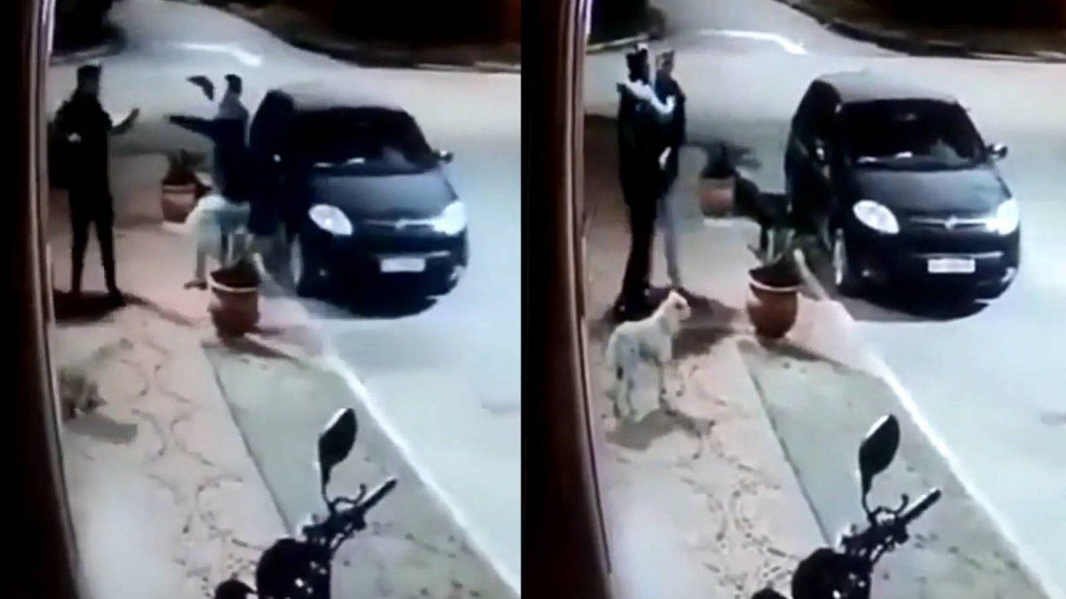 Todo quedó registrado en una cámara de seguridad.&nbsp;