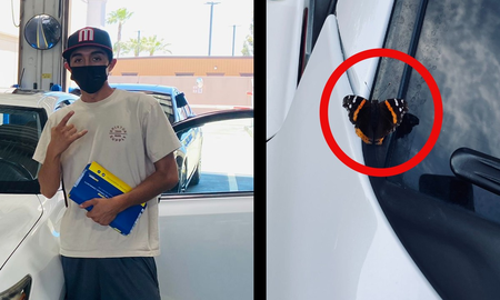 Compró su primer auto y aseguró que su mamá fallecida se le apareció en forma de mariposa Compró su primer auto y aseguró que su mamá fallecida se le apareció en forma de mariposa