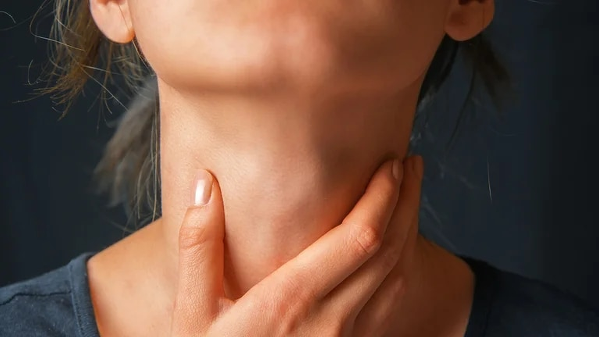 En el lapso de una semana se pasan un promedio de 18 horas y 12 minutos frente a la pantalla.