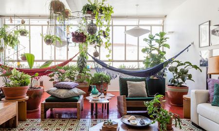 feng shui: las 8 plantas que tenes que tener (¡y las que no!) para atraer buena energia feng shui: las 8 plantas que tenes que tener (¡y las que no!) para atraer buena energia