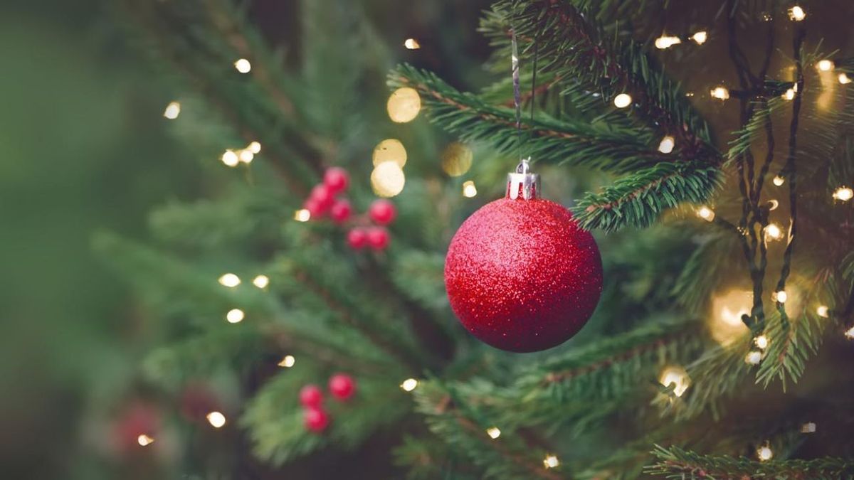 ¿Cuándo se arma el árbol de Navidad y por qué es una tradición tan especial? ¿Cuándo se arma el árbol de Navidad y por qué es una tradición tan especial?