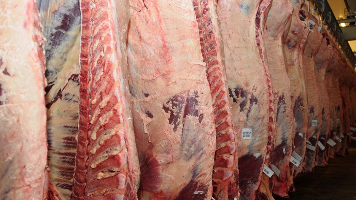 Las formas de compra y venta de carne se modificaron durante la cuarentena y la nueva normalidad en Argentina.&nbsp;