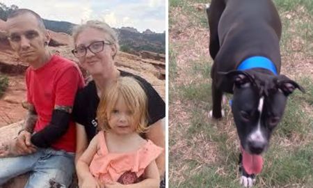 Una nena de 2 años murió al ser atacada por su pitbull. Una nena de 2 años murió al ser atacada por su pitbull.