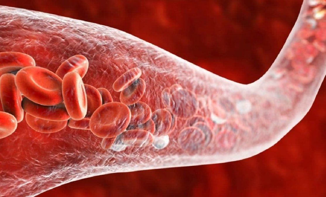 El superalimento que mejora la circulación sanguínea