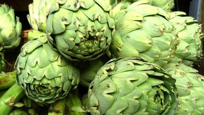 Así se prepara el alcaucil, el ingrediente estrella de MasterChef la noche de domingo