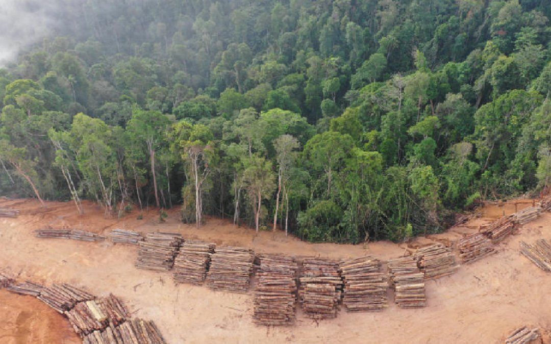 Cómo impacta el tabaco en el ambiente