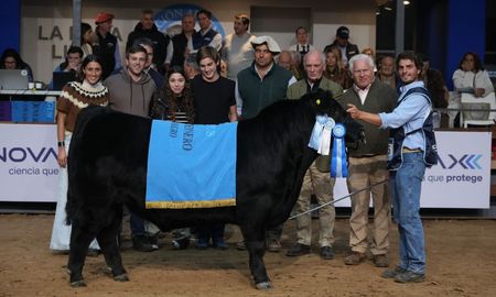 El premio al Mejor Ternero Negro fue para el lote 545 de Cabaña Santa Cecilia. El premio al Mejor Ternero Negro fue para el lote 545 de Cabaña Santa Cecilia.