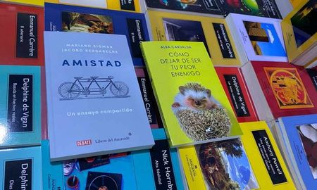 Dos recomendaciones de libros que se centran en los vínculos. Dos recomendaciones de libros que se centran en los vínculos.