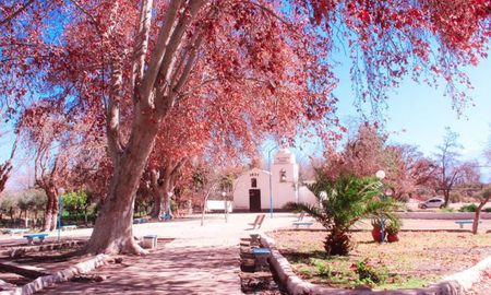 Escapada a Nonogasta, un pueblo de La Rioja para conocer en familia. Escapada a Nonogasta, un pueblo de La Rioja para conocer en familia.