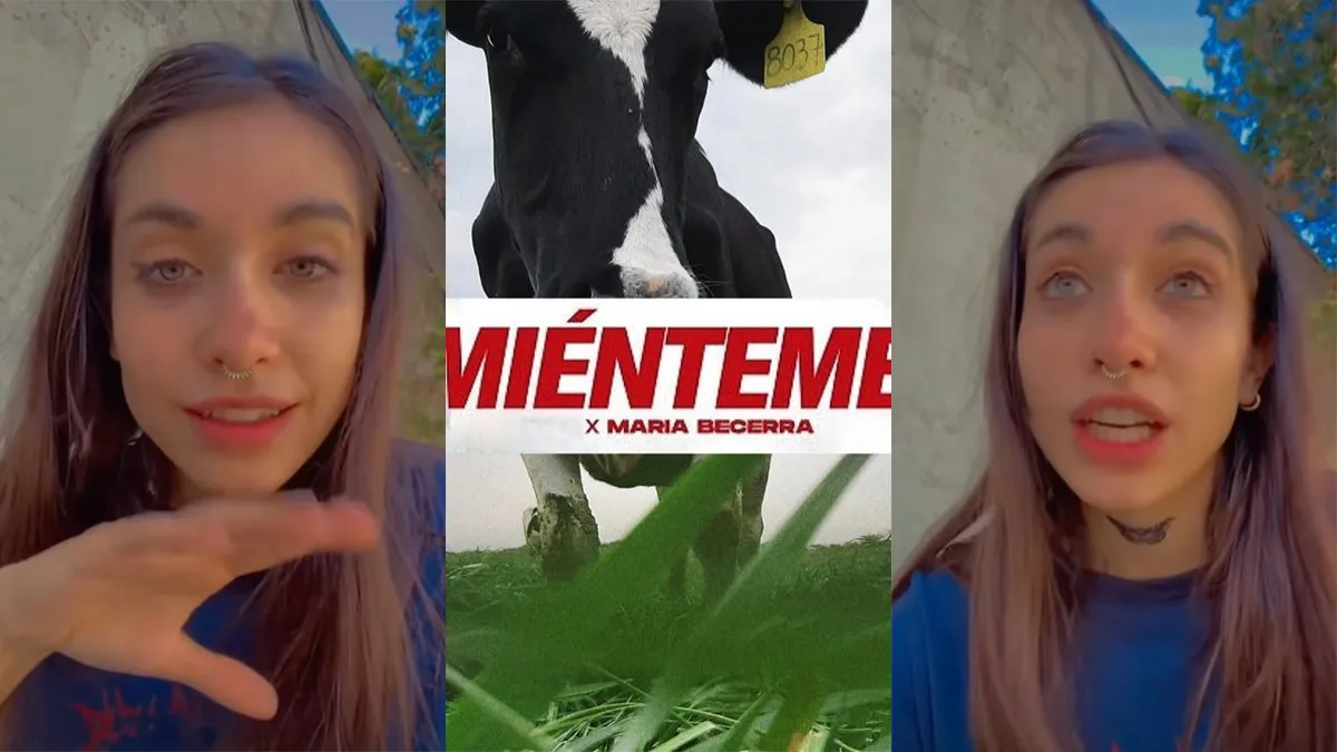 María Becerra grabó un video con críticas a la producción tambera